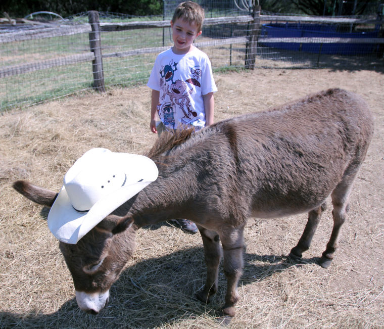 Wrangler Camp